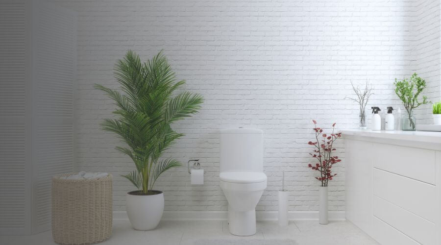 Why choose Toledo Portable Toilets Rental for construction toilets in Toledo,Oh